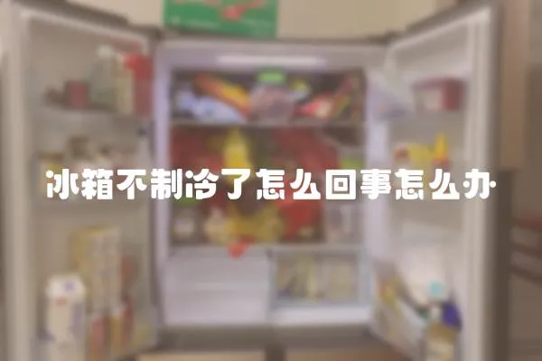 冰箱不制冷了怎么回事怎么辦