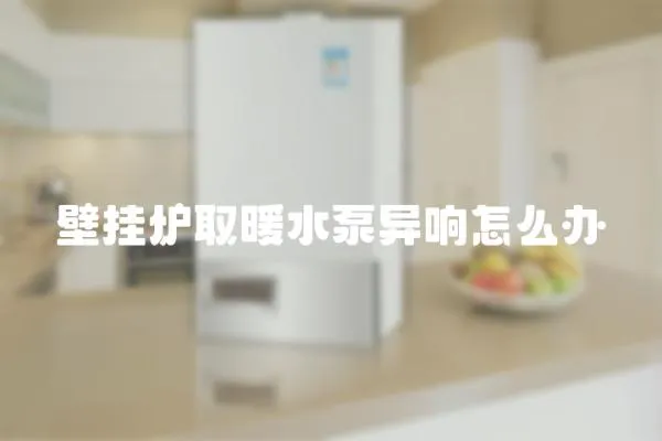 壁掛爐取暖水泵異響怎么辦