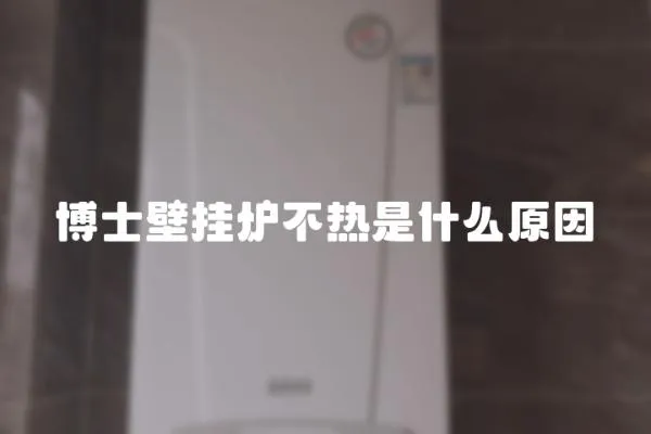 博士壁掛爐不熱是什么原因