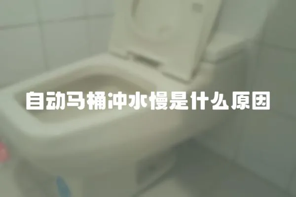 自動(dòng)馬桶沖水慢是什么原因