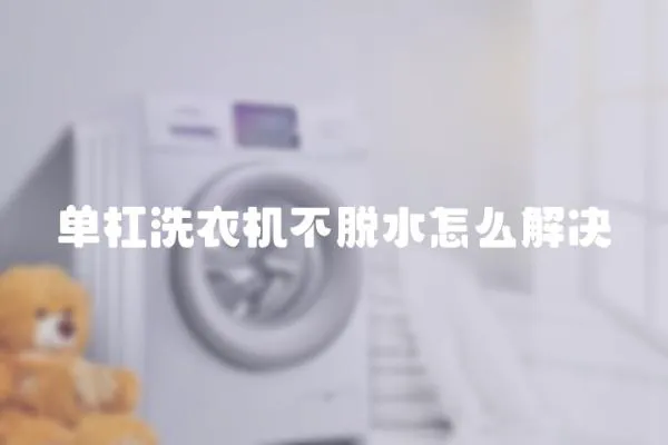 單杠洗衣機不脫水怎么解決