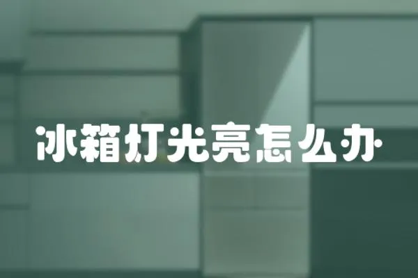 冰箱燈光亮怎么辦