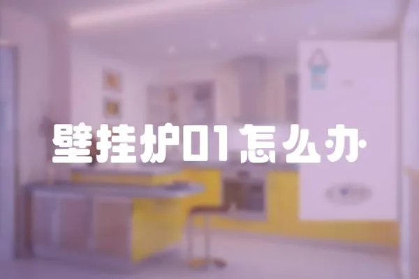 壁掛爐01怎么辦