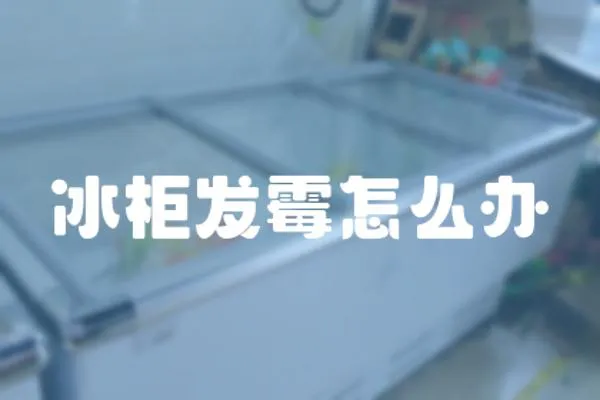 冰柜發霉怎么辦