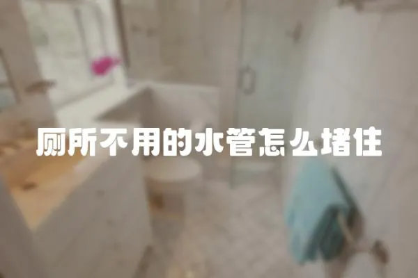廁所不用的水管怎么堵住