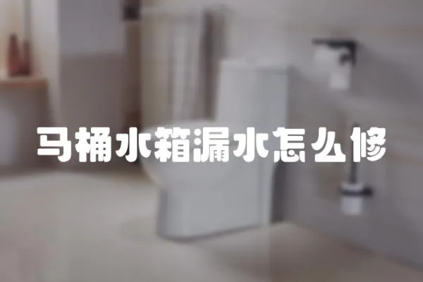 馬桶水箱漏水怎么修