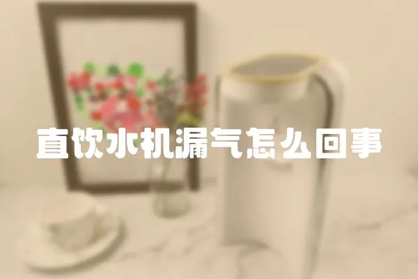 直飲水機漏氣怎么回事