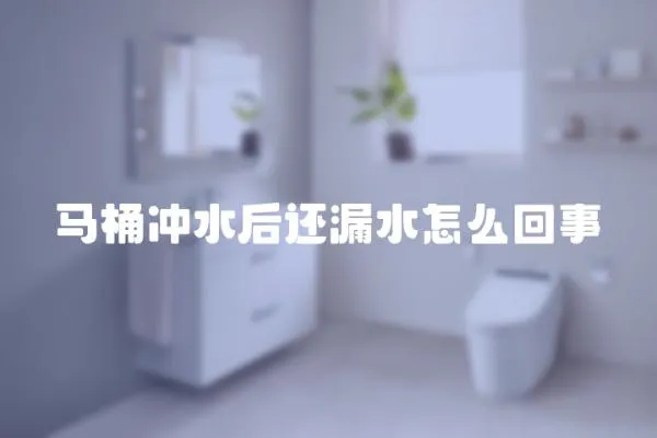 馬桶沖水后還漏水怎么回事