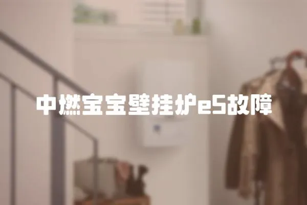 中燃寶寶壁掛爐e5故障