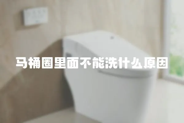 馬桶圈里面不能洗什么原因