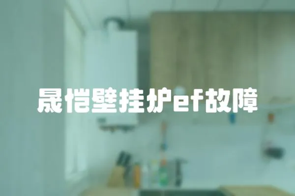 晟愷壁掛爐ef故障