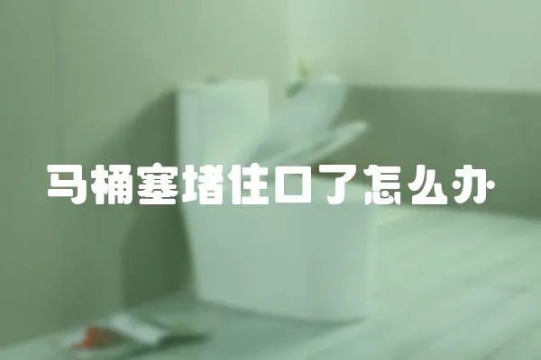 馬桶塞堵住口了怎么辦