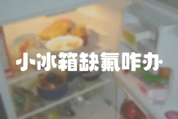 小冰箱缺氟咋辦