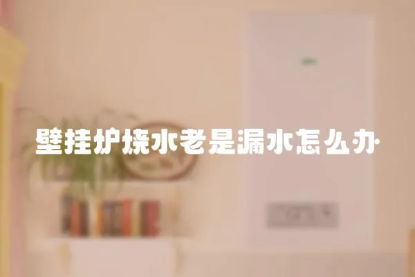 壁掛爐燒水老是漏水怎么辦