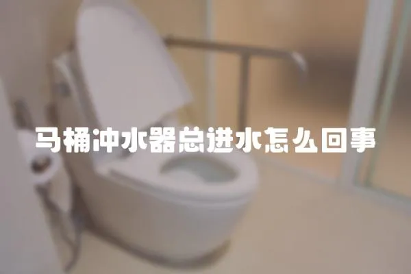 馬桶沖水器總進水怎么回事