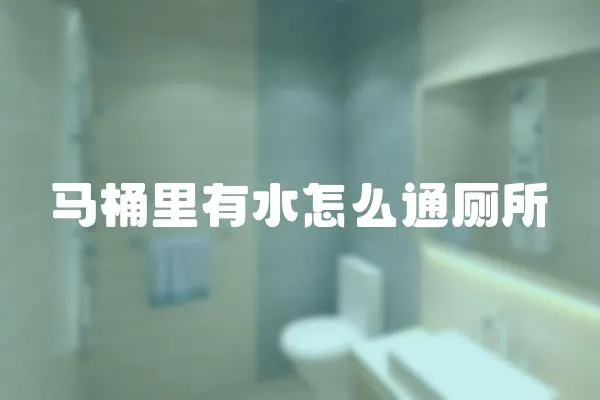 馬桶里有水怎么通廁所