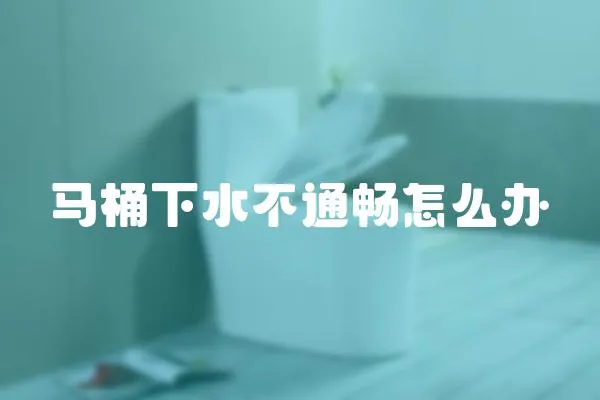 馬桶下水不通暢怎么辦