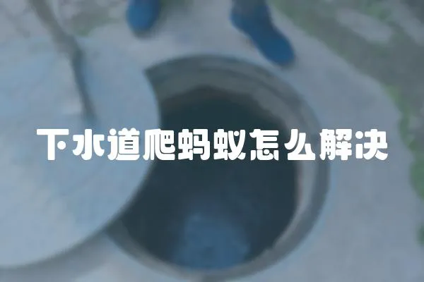 下水道爬螞蟻怎么解決
