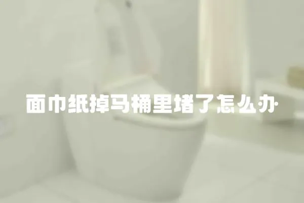 面巾紙掉馬桶里堵了怎么辦