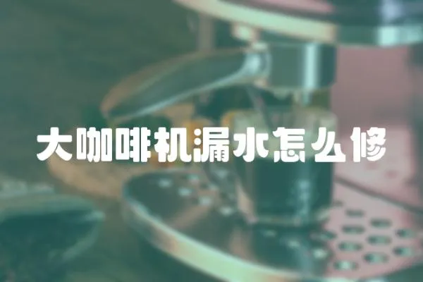 大咖啡機漏水怎么修