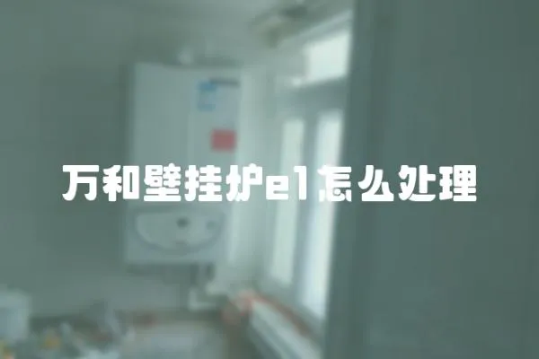 萬和壁掛爐e1怎么處理