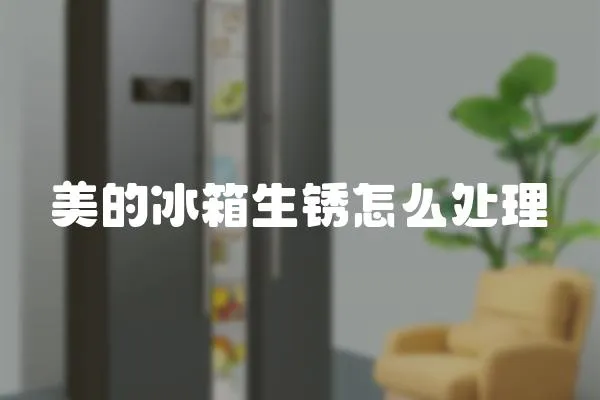 美的冰箱生銹怎么處理