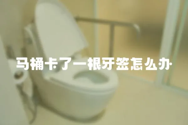 馬桶卡了一根牙簽怎么辦