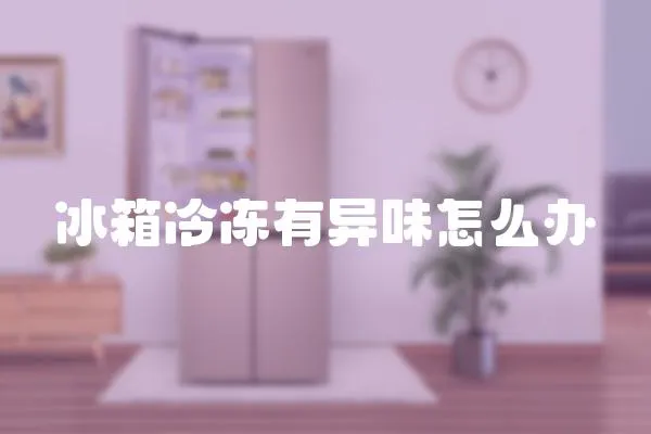 冰箱冷凍有異味怎么辦