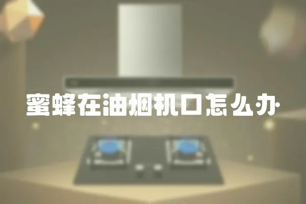 蜜蜂在油煙機口怎么辦