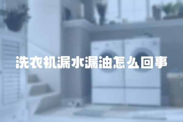 洗衣機漏水漏油怎么回事
