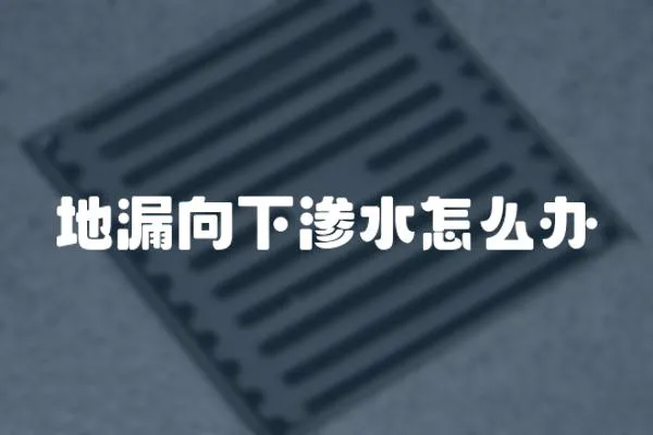 地漏向下滲水怎么辦