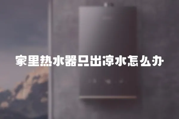 家里熱水器只出涼水怎么辦