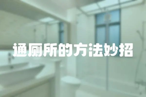 通廁所的方法妙招