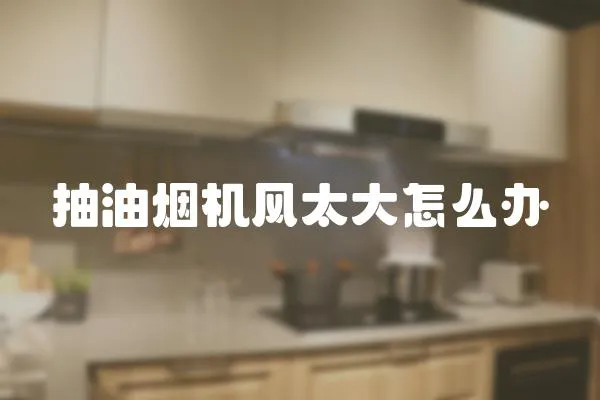 抽油煙機風太大怎么辦