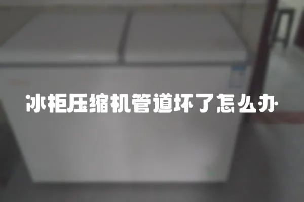 冰柜壓縮機管道壞了怎么辦