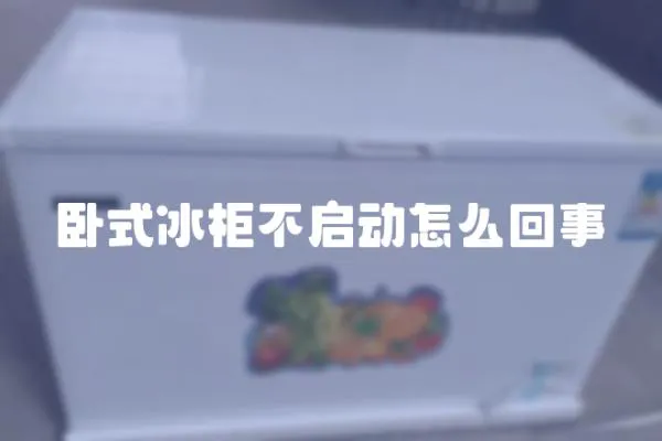 臥式冰柜不啟動怎么回事