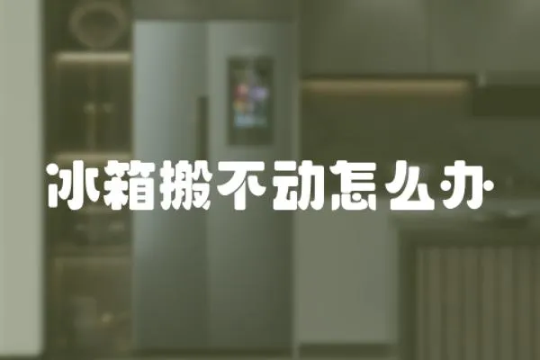 冰箱搬不動怎么辦