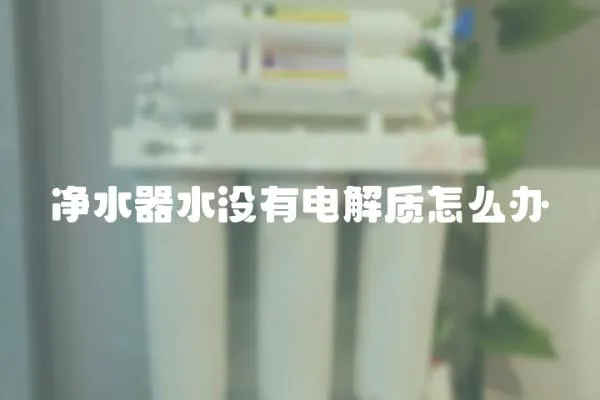 凈水器水沒有電解質(zhì)怎么辦