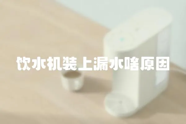 飲水機裝上漏水啥原因