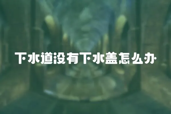 下水道沒有下水蓋怎么辦