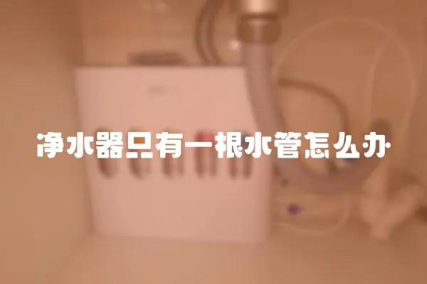 凈水器只有一根水管怎么辦