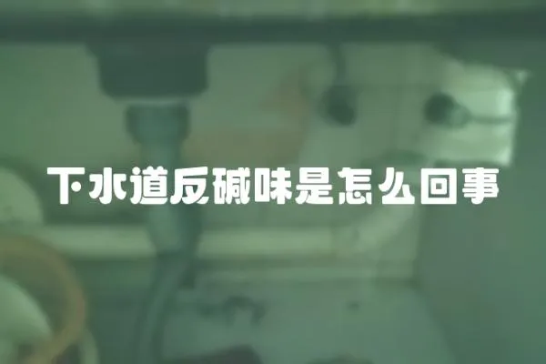 下水道反堿味是怎么回事