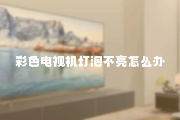 彩色電視機燈泡不亮怎么辦