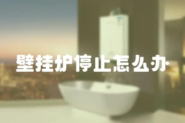 壁掛爐停止怎么辦