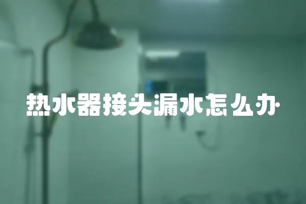 熱水器接頭漏水怎么辦
