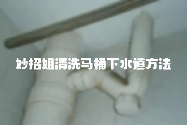 妙招姐清洗馬桶下水道方法