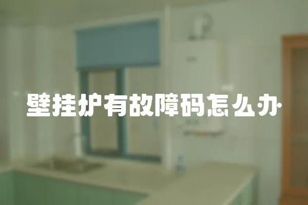 壁掛爐有故障碼怎么辦