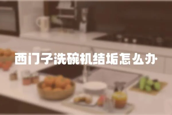 西門(mén)子洗碗機(jī)結(jié)垢怎么辦
