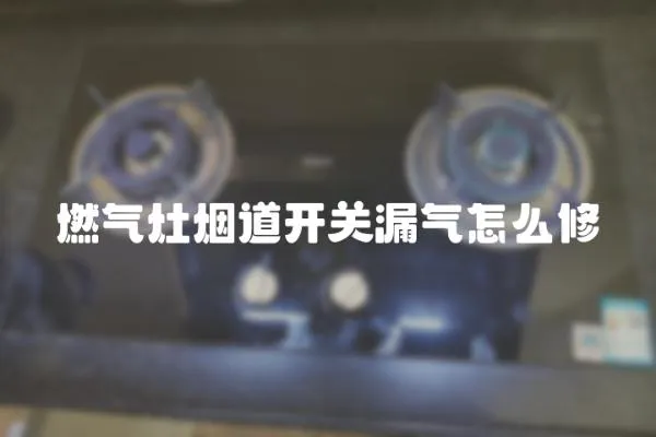 燃?xì)庠顭煹篱_關(guān)漏氣怎么修