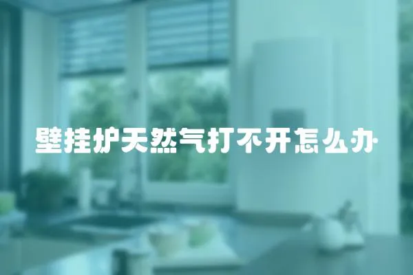 壁掛爐天然氣打不開(kāi)怎么辦